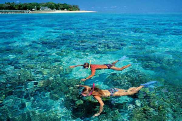 Excursies Egypte Snorkeling Trip At Satayh Dolphin Reef