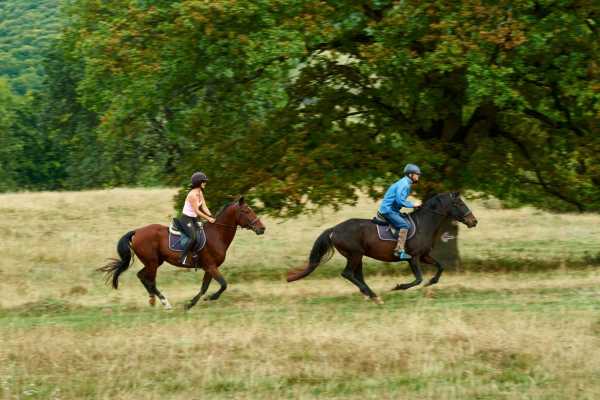 Carpathian Travel Center The Saxon trail with an Equestrian Adventure