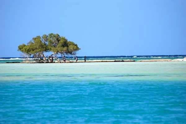 Excursies Egypte Private tour to Sharm El Luli and wadi el Qulaan Tours from Marsa alam