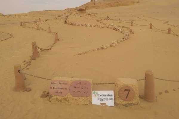 Excursies Egypte Wadi Al Hitan tweedaagse excursie vanuit Cairo