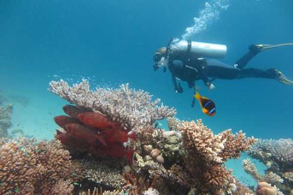Marsa alam tours Diving intro trip from Makadi