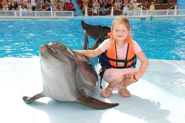 Marsa alam tours Delphin-Haus-Tour von Sharm El Shiekh