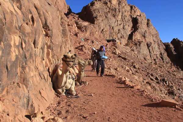 Marsa alam tours Mount Sinai Sunrise Climb von Sharm El Sheikh