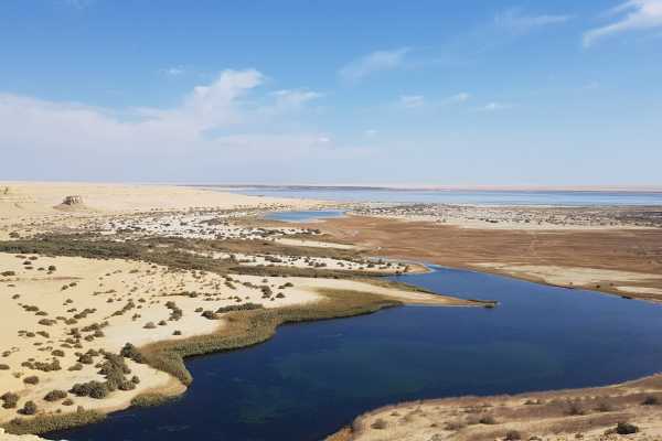 Marsa alam tours 2 Day trip Camping trip to Wadi el Hitan from Cairo