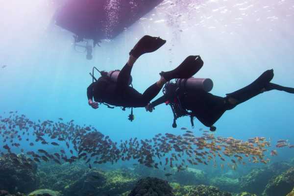 Marsa alam tours Scuba diving Trip from El Gouna