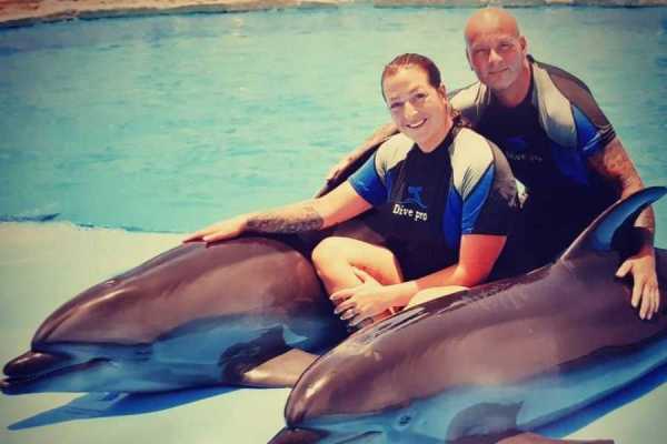 Marsa alam tours Swim with dolphins in Hurghada