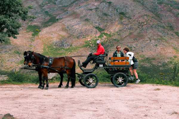 Gerês Equidesafios Horse Drawn Carriage Tour
