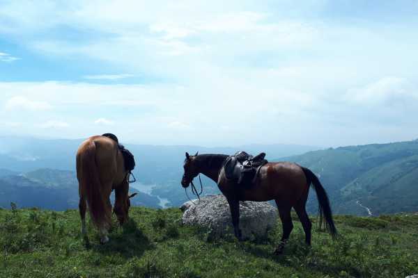 Ger&ecirc;s Equidesafios Passeio de 1 dia a Cavalo
