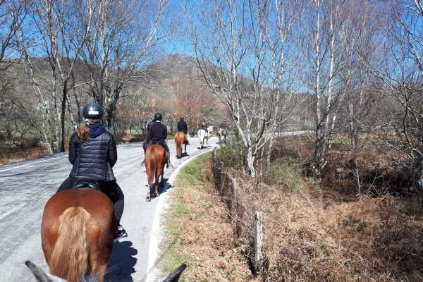 Gerês Equidesafios Horse Ride Tour 30 minutes