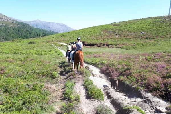Ger&ecirc;s Equidesafios Passeio a Cavalo 30 minutos