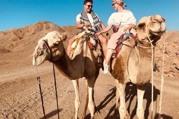 Excursies Egypte Super safari dans le désert depuis Marsa Alam