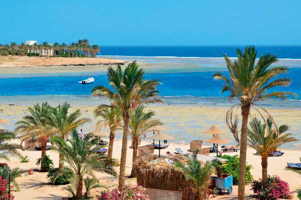 Excursies Egypte Private Transfer From Marsa Alam Hotels to Marsa Alam  Airport
