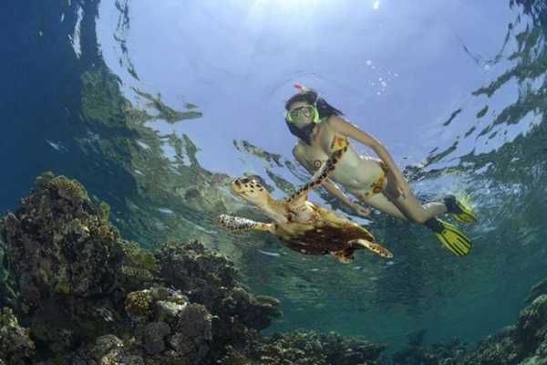 Excursies Egypte Abu Dabab day Snorkeling Tour from El Gouna