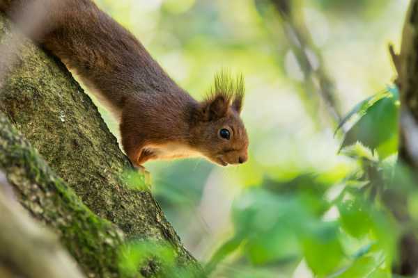 Ger&ecirc;s Holidays Photo Expedition &ndash; Peneda-Ger&ecirc;s National Park