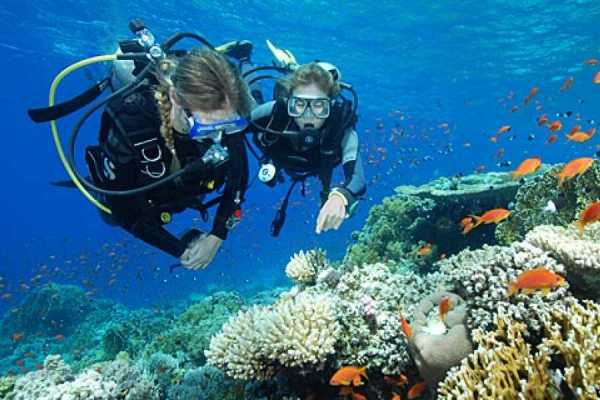 Excursies Egypte Padi Open water course in Sahel Hashish