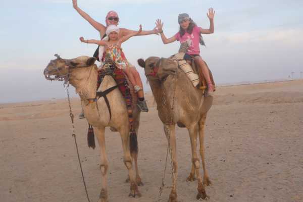 Excursies Egypte Camel riding day tour from Port Ghalib