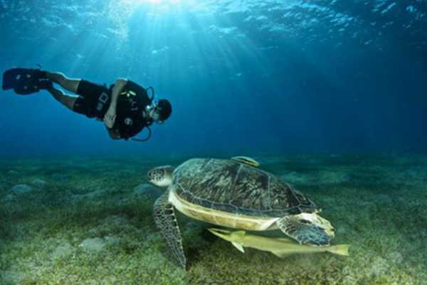 Marsa alam tours Abu Dabbab Snorkeling trip From El Quseir