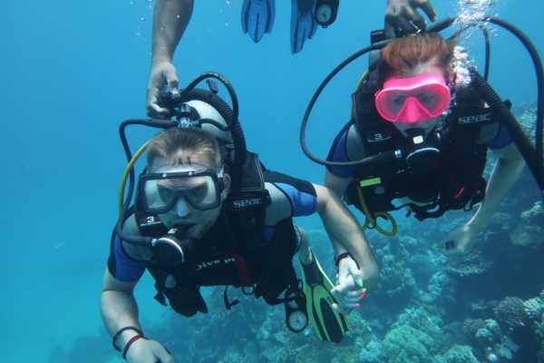 Marsa alam tours Diving trip to Satayh Dolphin Reef  from El Quseir