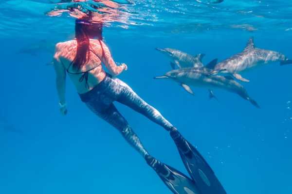 Marsa alam tours Overnight Diving trip at Sataya Dolphin Reef From El Quseir