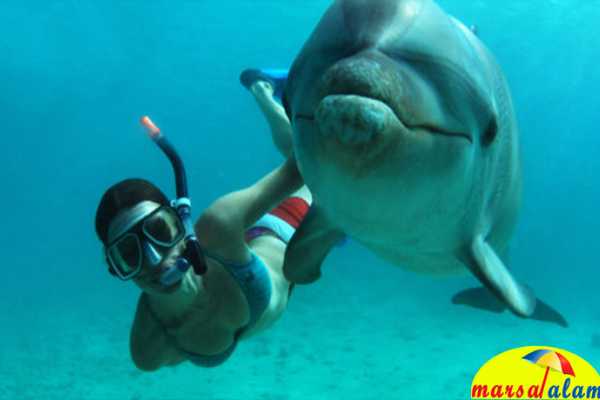 Marsa alam tours Shaab Samadai Snorkeling Trip From El Quseir