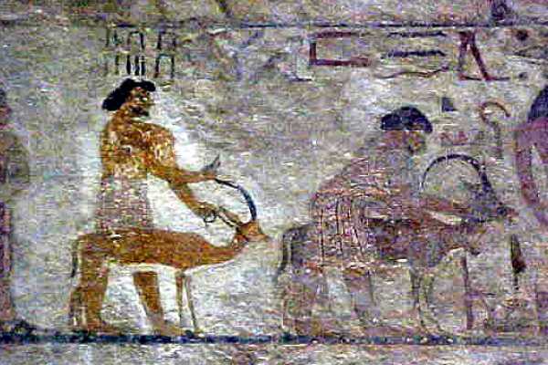 Marsa alam tours Day trip to Al Minya from Cairo