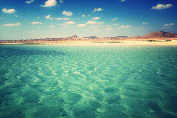 El Gouna Tours Sharm El Naga Bay Snorkelling Trip From El Gouna