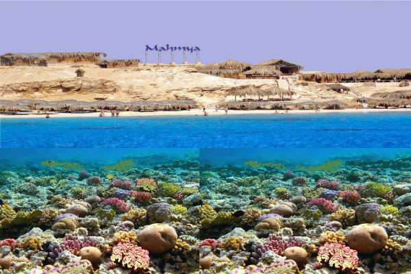 El Gouna Tours Mahmya Island Snorkeling trip from Hurghada