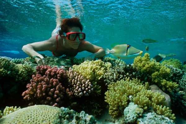 El Gouna Tours Tiran Island Snorkeling Boat Excursion From Sharm el Sheikh