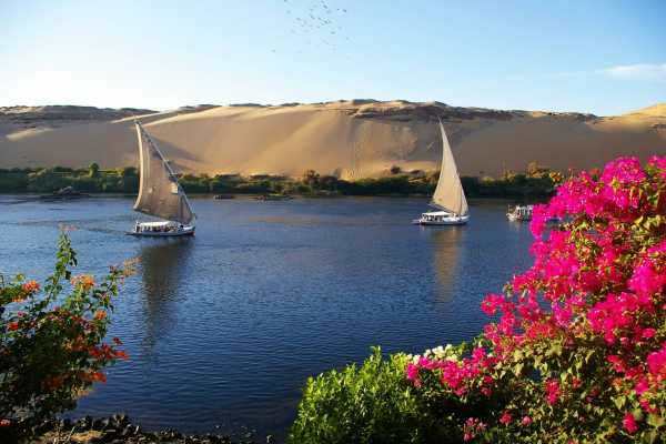 EMO TOURS EGYPT Private tour to&nbsp;Botanical garden with Felucca ride on Aswan Nile River