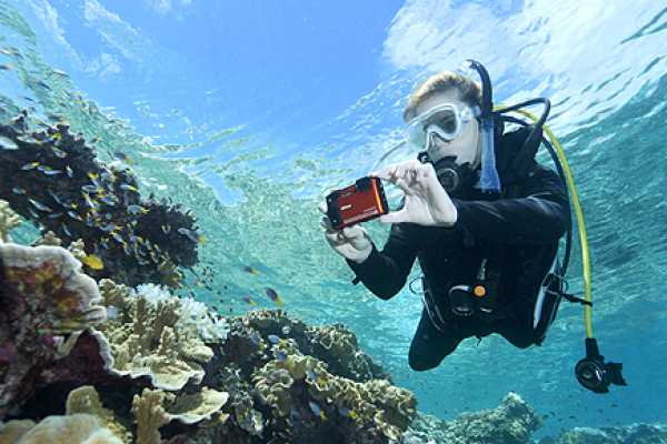 El Gouna Tours Private transfer from Sharm el Sheikh Air port to Sharm el Sheikh Hotels