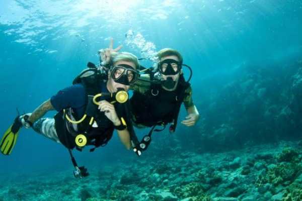 Daily tours Egypt VIAJE DE BUCEO EN HURGHADA