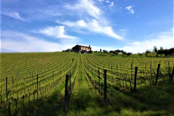 VisitRimini Degustazione Vini D'autore