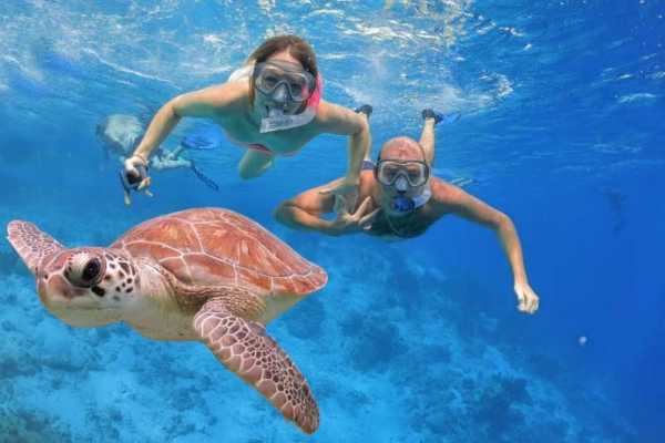 Daily tours Egypt SNORKELTRIP HAMATA-EILANDEN VANUIT MARSA ALAM