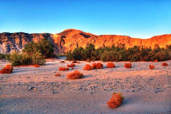 Daily tours Egypt PRIV&Eacute;TOUR NAAR WADI EL GEMAL VANUIT MARSA ALAM