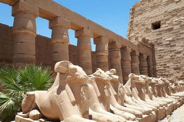 Daily tours Egypt Luxor Day Trip From El Gouna