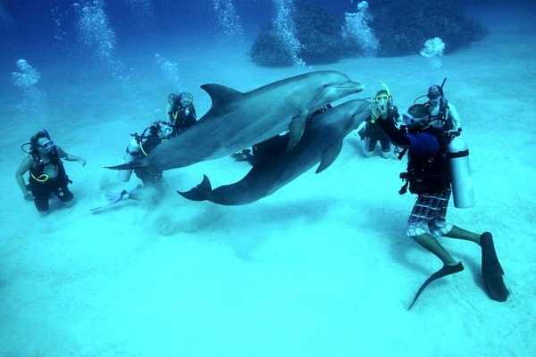 Daily tours Egypt Scuba diving and snorkeling from Sahl Hasheesh