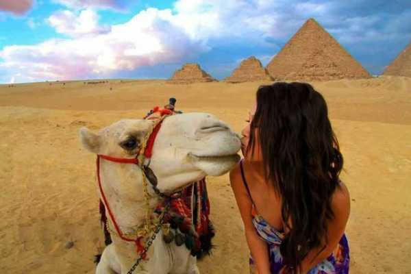 Daily tours Egypt EXCURSI&Oacute;N DE DOS D&Iacute;AS A LA BAH&Iacute;A DE MAKADI A EL CAIRO Y LUXOR