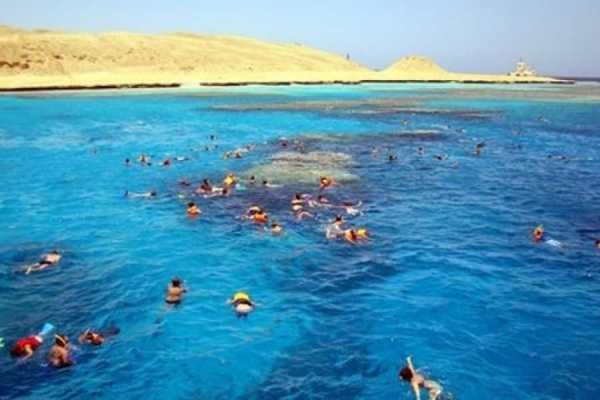 Daily tours Egypt EXCURSIONES DE SNORKEL EN LA ISLA GIFTUN DESDE LA BAH&Iacute;A DE SOMA