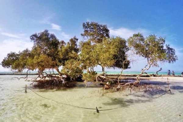 Daily tours Egypt SHARM EL LULI-SNORKELTOCHTEN VANUIT PORT GHALIB