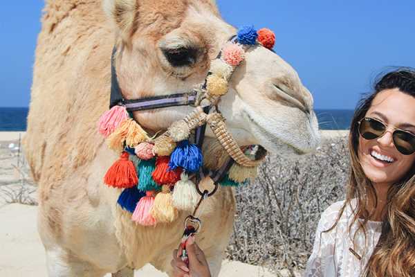 Daily tours Egypt ALADIN MORNING SAFARI-REIS VANUIT PORT GHALIB