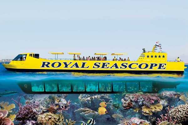 Daily tours Egypt SEMI-ONDERZEESE EXCURSIE IN DE RODE ZEE VAN PORT GHALIB, EGYPTE