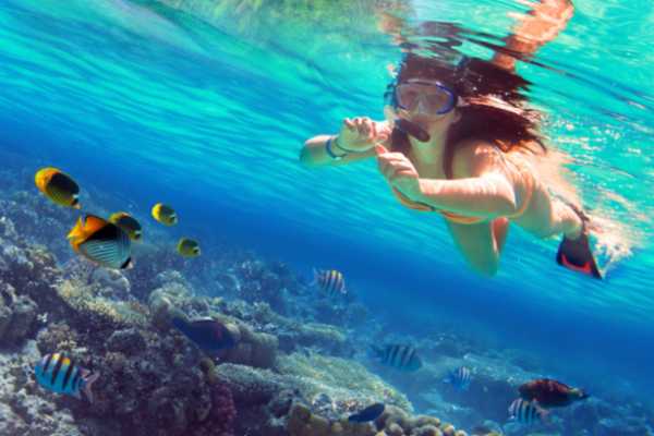 EMO TOURS EGYPT Full Day Relaxing In Sharm  El Sheikh From Taba