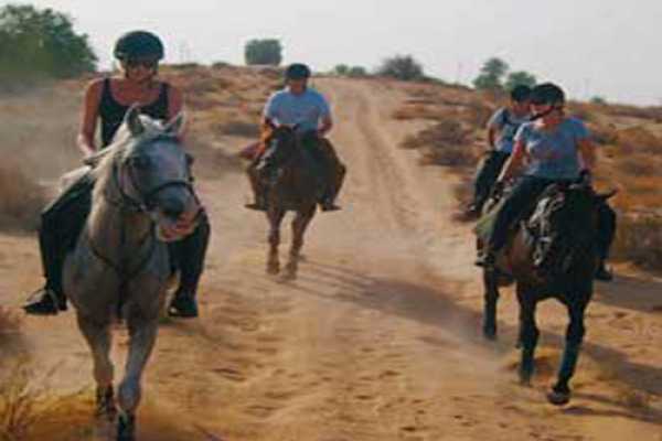 EMO TOURS EGYPT ADVENTURE SAFARI BY HORSE IN Sharm El Sheikh
