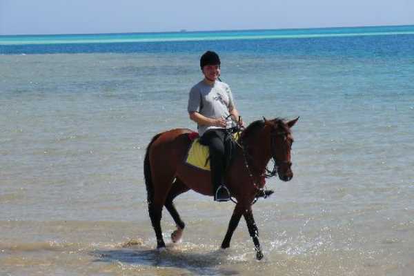 EMO TOURS EGYPT SAFARI DE AVENTURA A CABALLO EN Hurghada durante el atardecer o el amanecer