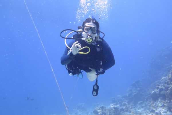 EMO TOURS EGYPT Day Tour On Yacht Included  2 Dive With Lunch At Hurghada