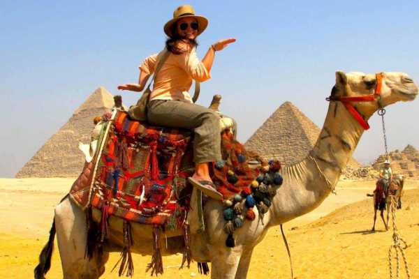 El Gouna Tours Camel Ride at The Giza Pyramids