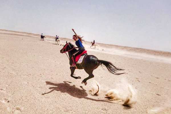 Daily tours Egypt PASEOS A CABALLO Y EN CAMELLO DESDE HURGHADA.