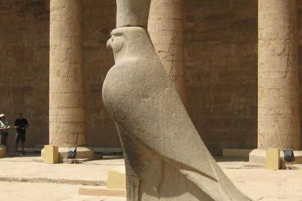 Daily tours Egypt PAQUETES TURÍSTICOS DE 7 DÍAS DE EL CAIRO A LUXOR ASWAN ABU SIMBEL CON EDFU KOM OMBO