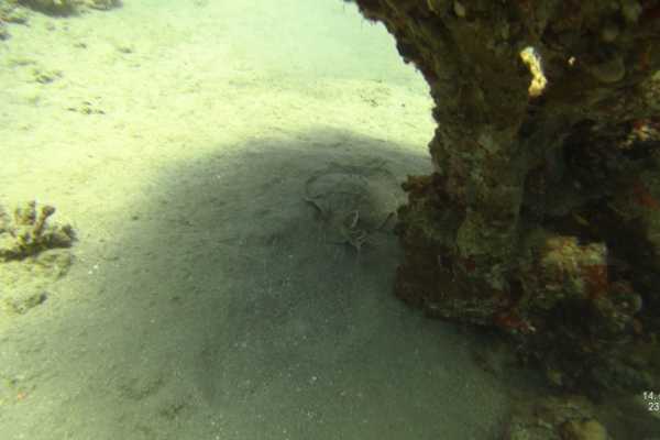 EMO TOURS EGYPT Private Jeeb Safari To Wadi Qunai and Three Pools From Dahab