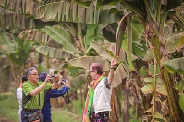EMO TOURS EGYPT Private Felucca Ride and Banana Island with Lunch In Luxor
